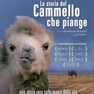 Visioni - Famiglie e Migrazioni