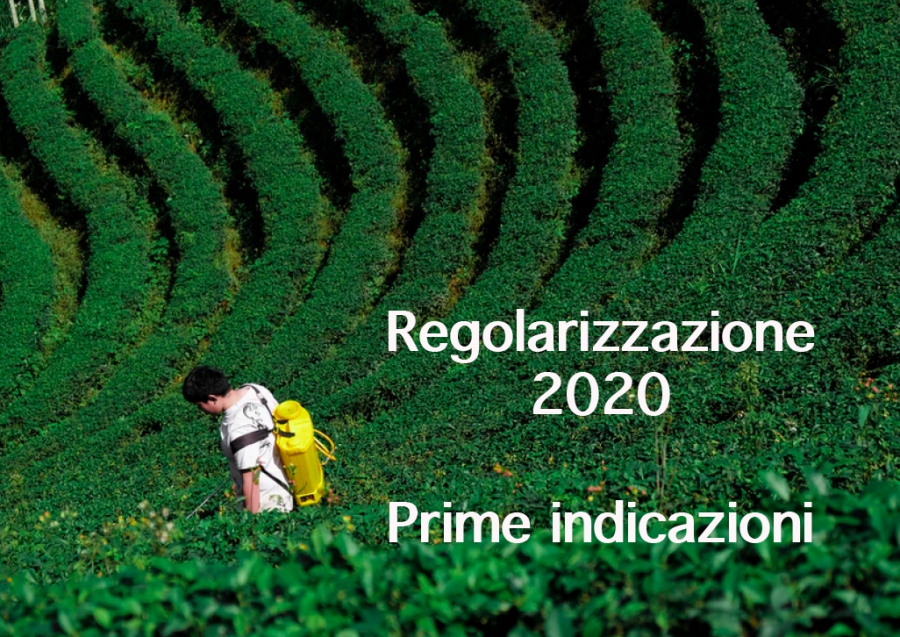 Webinar - Prime indicazioni Regolarizzazione 2020