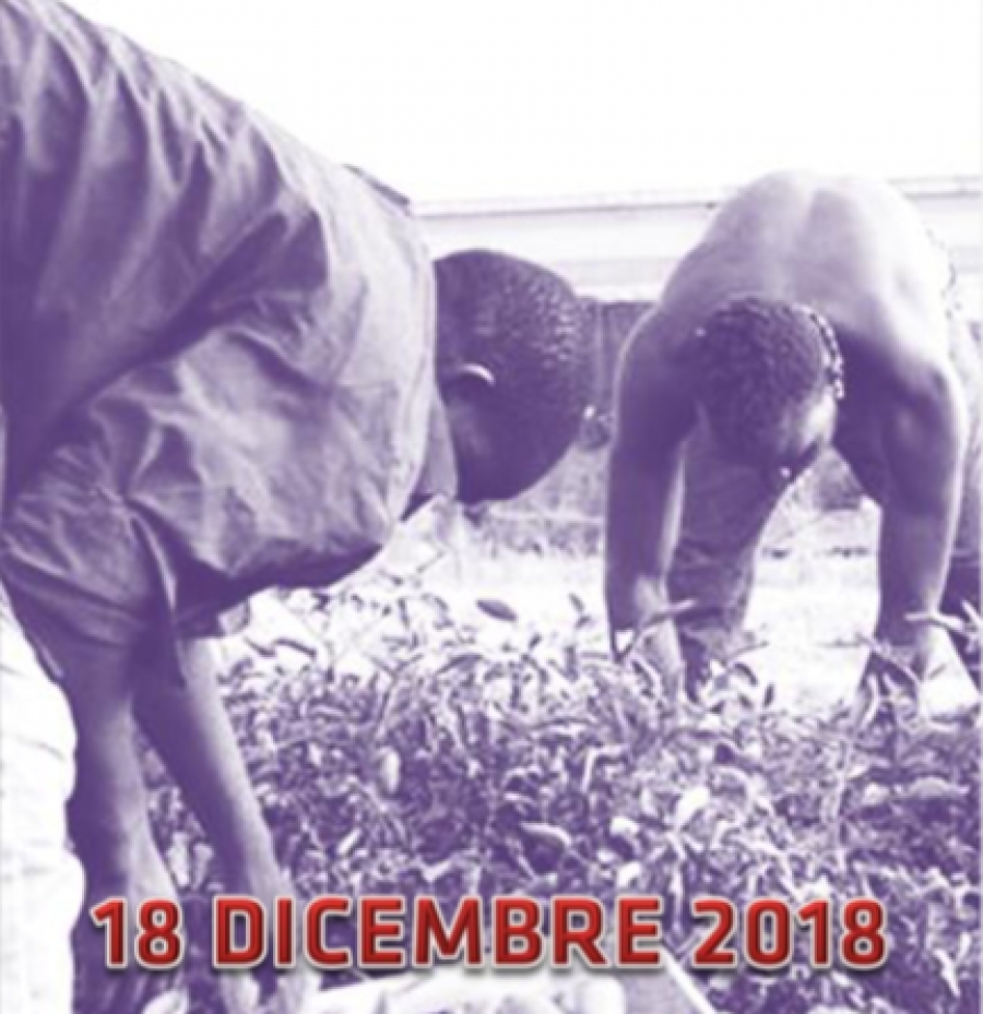 Dall'economia degli stranieri in Italia: IN e OUT